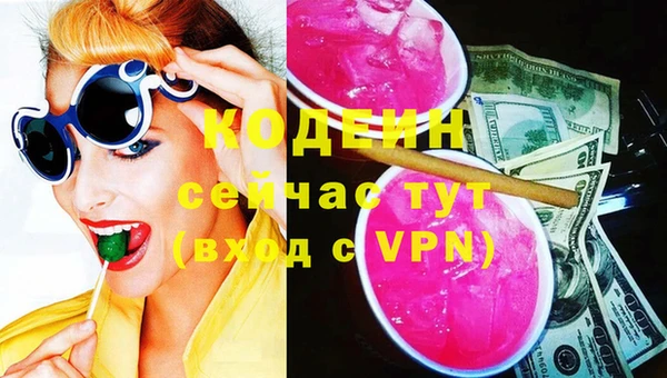 хмурый Абаза